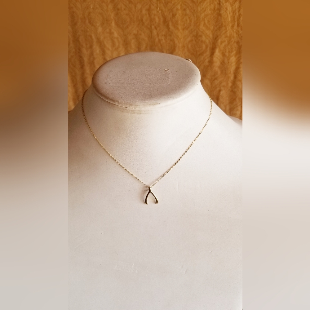 Nialaya Gold Vermeil 14K "Wishes" wishbone charm necklace